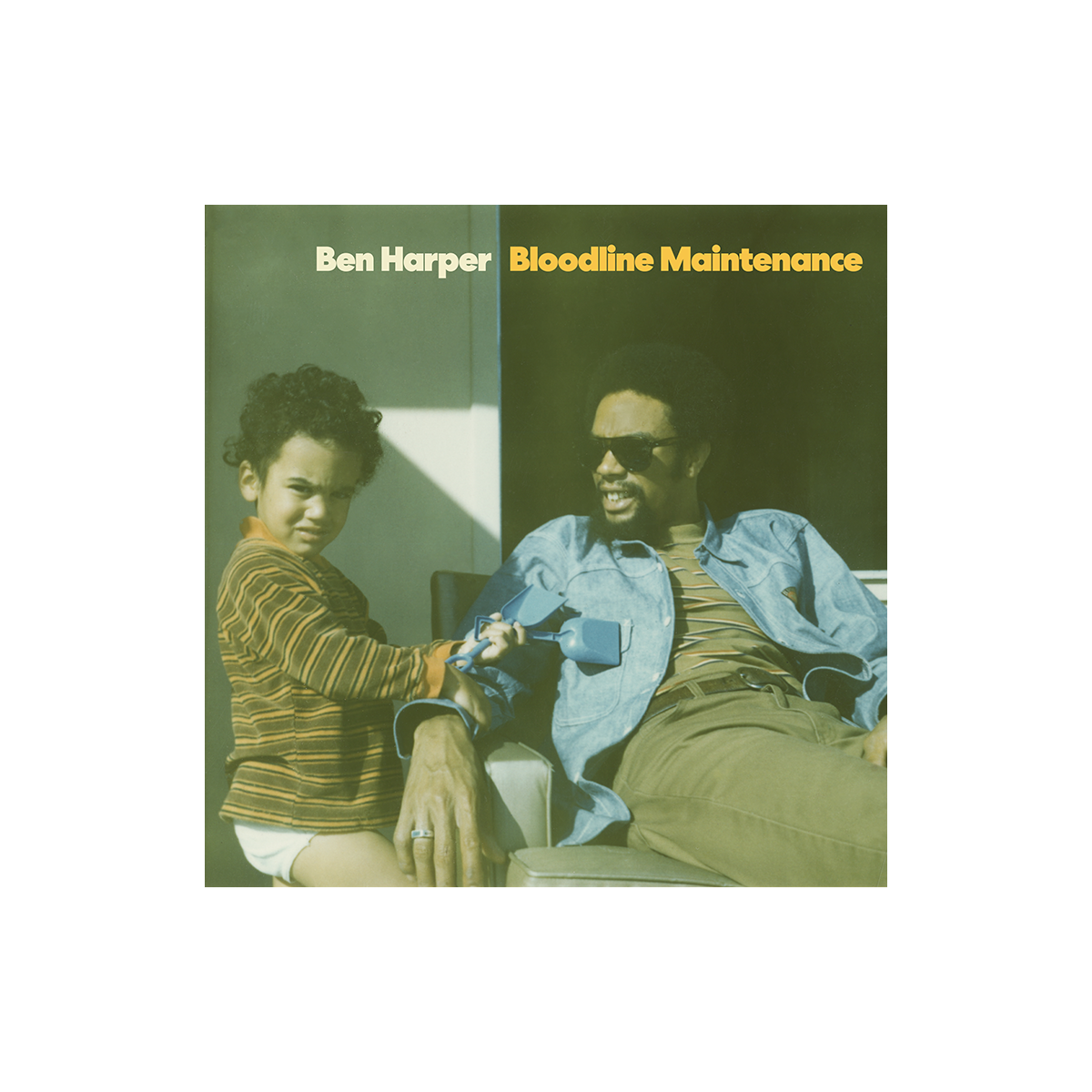 Vinyl & CDs – Ben Harper Shop